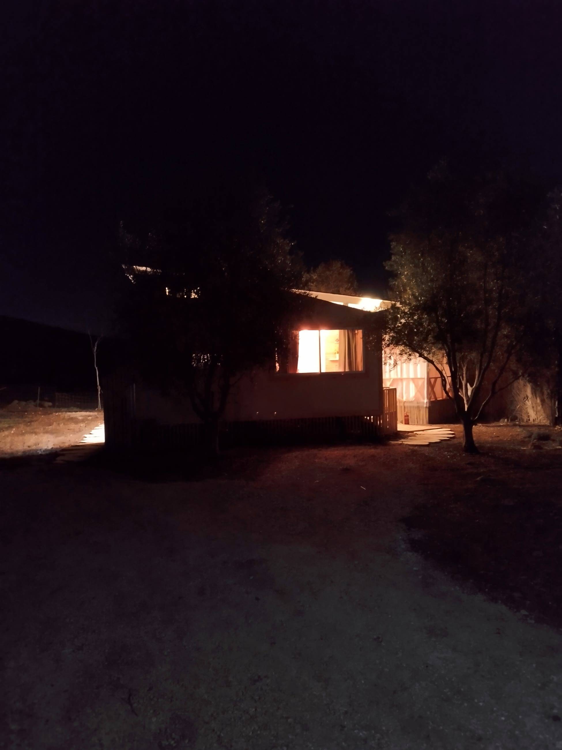 הבית בלילה, חלון מואר בין עצי הזית