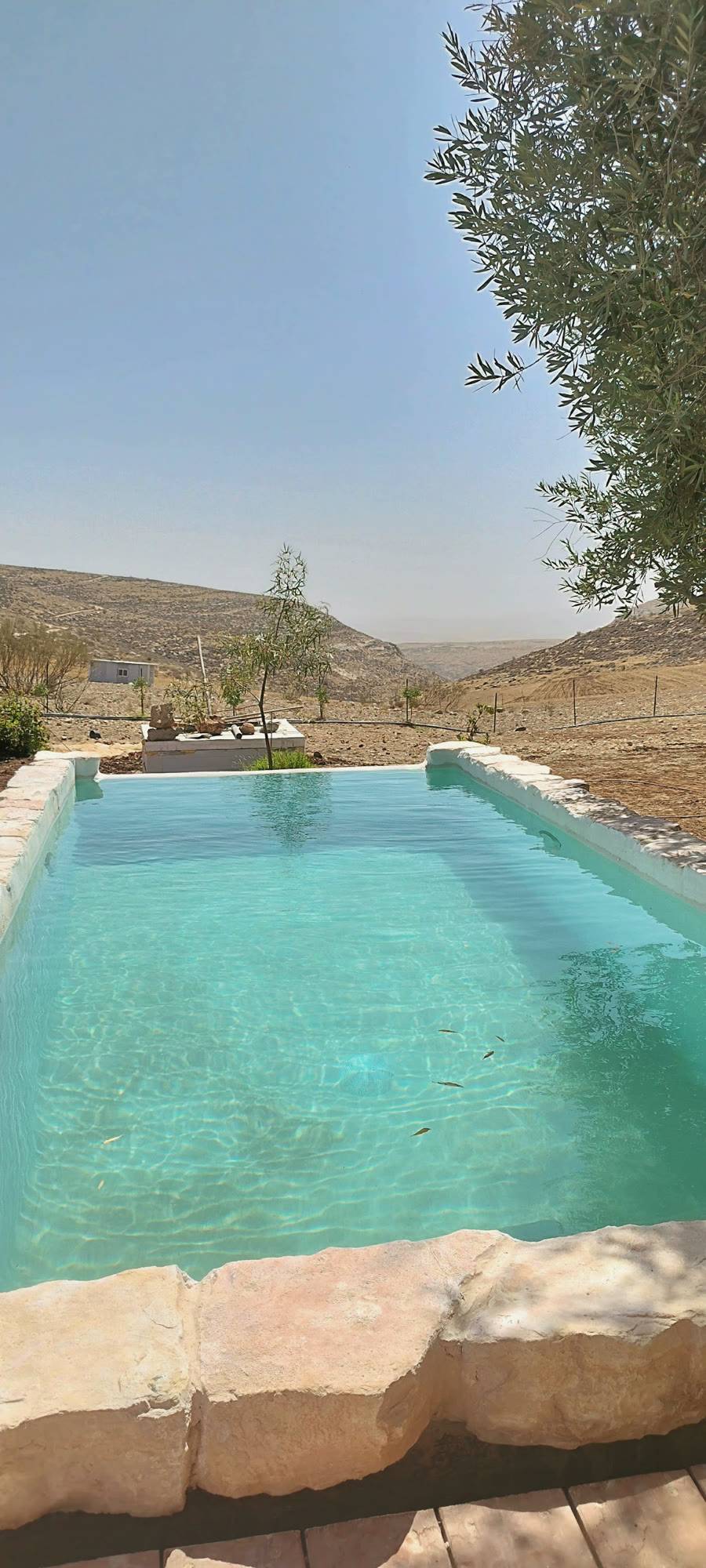 הבריכה מלאה, מול הגבעות והבקעה