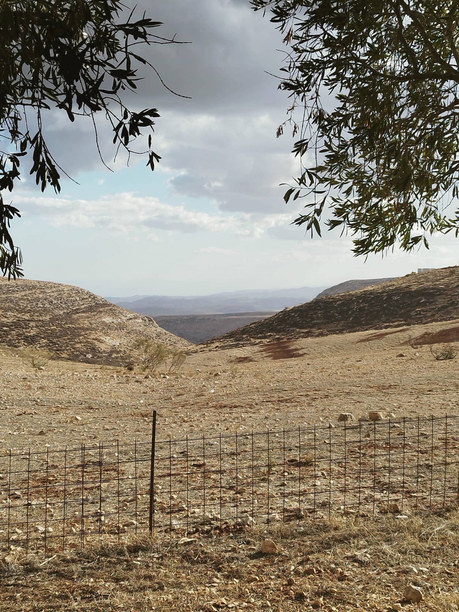 הנוף מהמתחם אל הבקעה